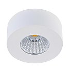 Накладной светодиодный светильник Donolux DL18812/7W White R