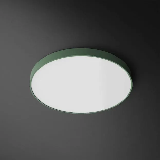Потолочный светильник DISC COLOR Диаметр 30 см. Цвет зеленый. Lampatron disc-col-green-30 824-1481 Потолочный светильник DISC COLOR Диаметр 30 см. Цвет зеленый. Lampatron disc-col-green-30 824-1481