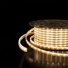 Светодиодная лента Elektrostandard LS014 220V a053637