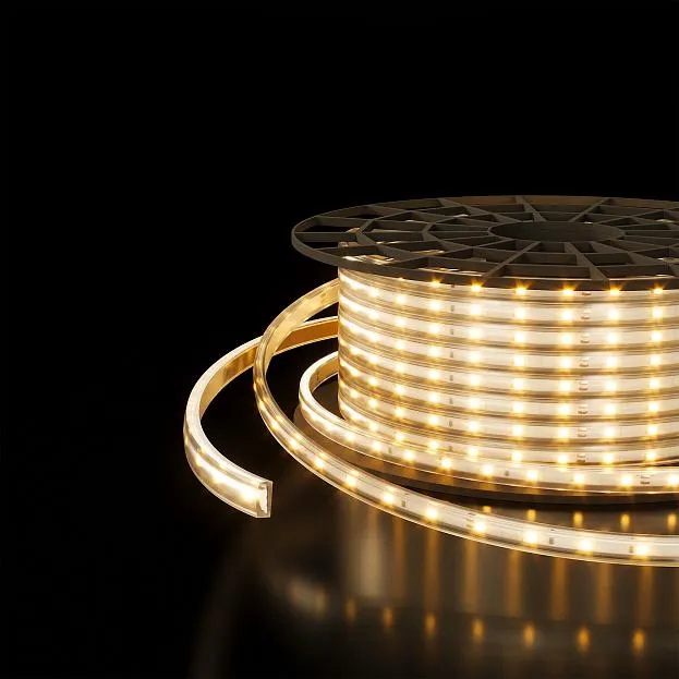 Светодиодная лента Elektrostandard LS014 220V a053637