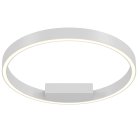 Потолочный светильник Maytoni MOD058CL-L25W4K Rim