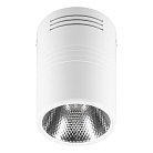 Светодиодный светильник накладной Feron 29577 AL518