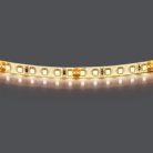 Лента белого свечения LED 24V Lightstar 420854