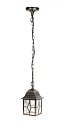 Уличный светильник подвесной Oasis Light 64305 Gb