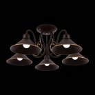 Потолочная люстра Evoluce SLE120402-05 Ciolla