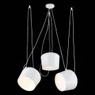 Светильник подвесной EVOLUCE SLE120653-03 TRIESTE