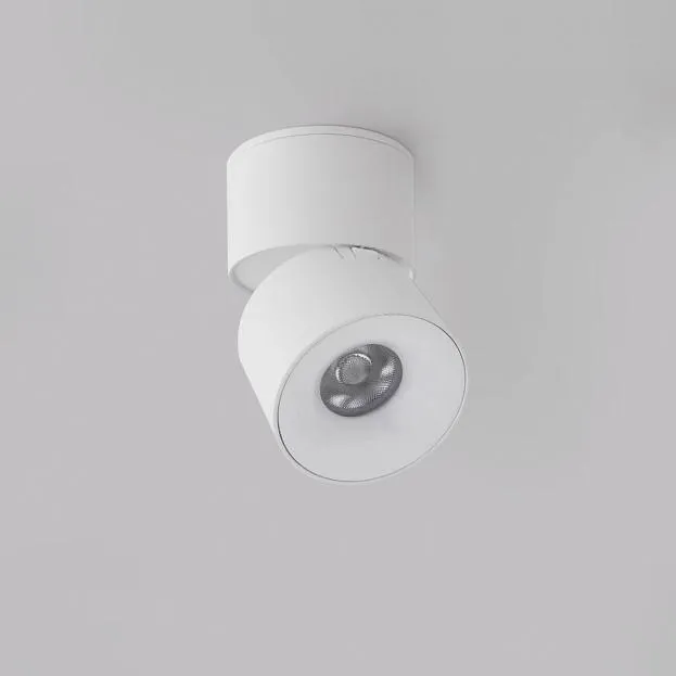 Светильник накладной iLEDEX 115-12W-D70-4K-55DG-WH Metrica
