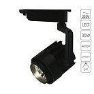 Светильник Потолочный Arte Lamp A1630PL-1BK VIGILE