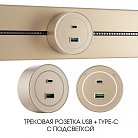 Трековая розетка, 3.1A 250V Arte Milano 399732TS/USB-Type-C Gold Am
