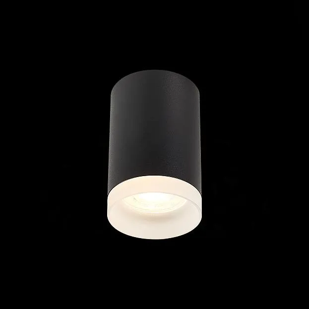 Светильник потолочный ST LUCE ST100.402.01 ST100 Светильник потолочный ST LUCE ST100.402.01 ST100