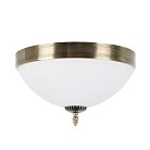 Потолочный светильник MyFar MR1527-3C Biene