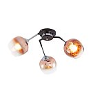 Потолочный светильник Escada 1176/3P