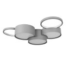 Потолочный светильник Loft IT 10317/5 Grey Pin