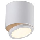 Светильник встраиваемый-накладной Omnilux OML-20501-01 Canicattì