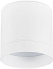 Накладной светильник Donolux DL18483R15W1W IP44 BARELL