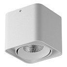 Потолочный светильник Lightstar 212516 Monocco