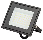 Прожектор уличный ЭРА LPR-023-0-30K-030