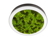 Накладной светодиодный светильник, 90Ватт, D-1000мм. Donolux dl1000c90ww moss black Aura Moss