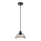 Подвесной светильник Vele Luce VL6482P01 Formula