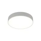 Светильник настенно-потолочный Aployt APL.0114.09.24 Evon