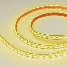 Светодиодная лента Arlight 036291