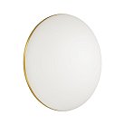 Настенно-потолочный светильник SONEX 3043/DL LASSA