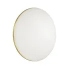 Настенно-потолочный светильник SONEX 3043/DL LASSA