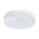 Лампа светодиодная Lightstar 943084 LED