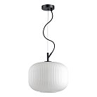 Подвесной светильник Odeon Light 4754/1 Pendant Roofi
