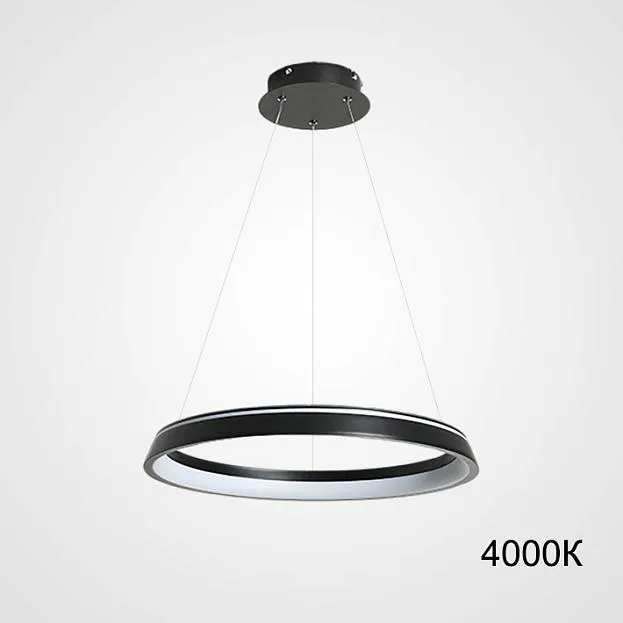 Подвесной светильник CHANETT D40 Black 4000К ImperiumLoft 219909-23 chanett01