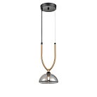 Подвесной светильник Vele Luce VL5434P01 Astiy