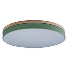 Потолочный светильник Loft IT 10001/36 green Axel