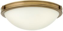 Потолочный светильник Hinkley HK-COLLIER-F-S Collier