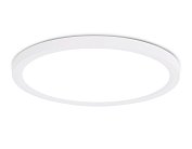 Потолочный светильник Ambrella light FZ1909