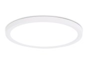 Потолочный светильник Ambrella light FZ1909