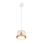 Подвесной светильник Arte Lamp A8028SP-1WH AMAKS