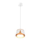 Подвесной светильник Arte Lamp A8028SP-1WH AMAKS