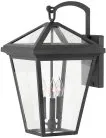 Настенный фонарь уличный Hinkley QN-ALFORD-PLACE2-L-MB Alford Place
