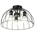 Потолочная люстра Lussole GRLSP-8215 LATTICE