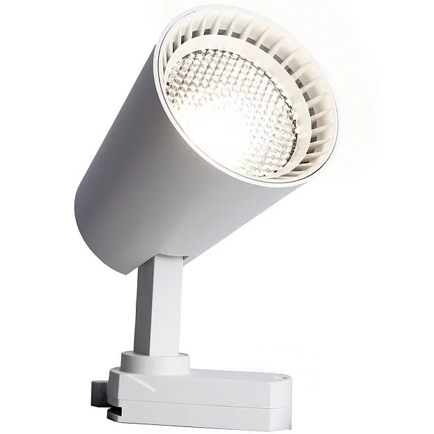 Трековый светильник Feron 41607 AL100