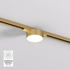 Светильник для трека Denkirs DK5761-SB SHINE FLOW