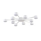Потолочная люстра Lumion 8343/10C TORINA