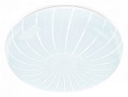 Накладной светильник Ambrella light FZ1093