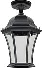 Потолочный светильник уличный Oasis Light 91305LA Bl ASTORIA 1 L