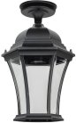 Потолочный светильник уличный Oasis Light 91305LA Bl ASTORIA 1 L