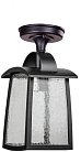 Потолочный светильник уличный Oasis Light 2736 05A Bl FRANKFURT I
