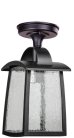 Потолочный светильник уличный Oasis Light 2736 05A Bl FRANKFURT I