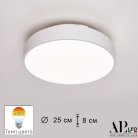 Потолочный светильник APL LED 3315.XM302-1-267/12W/4K White Toscana