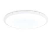 Потолочный светодиодный светильник Ambrella light FZ1232 WH