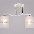 Потолочная люстра Reluce 02283-0.3-02 WT+FGD